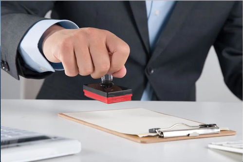 加快培育新型消费 互联网信息服务如何为美好生活创造更多可能